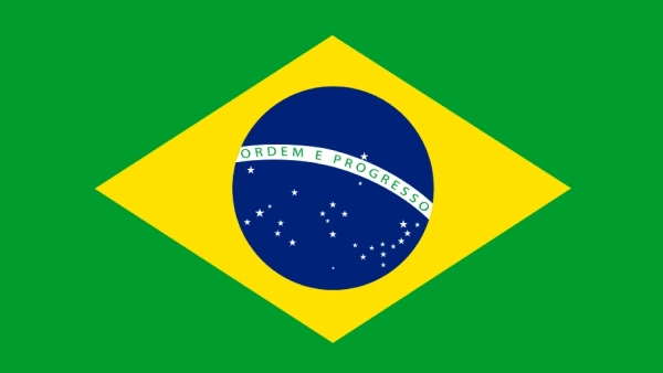 Bandeira brasil - Renatto Pascucci