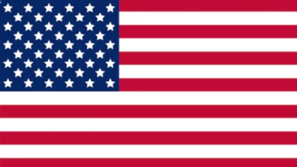 Bandeira eua - Renatto Pascucci